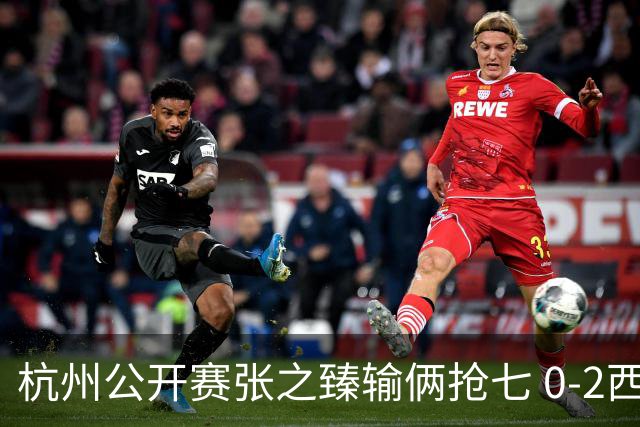 杭州公开赛张之臻输俩抢七 0-2西里奇收获亚军